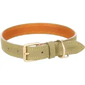 Flamingo Virginia Hundehalsband