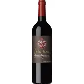 Château Fleur Cardinale Intuition 2020 -