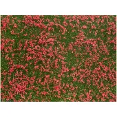 Noch Meadow, Gras, Junge/M?dchen, Gr?n, Rot