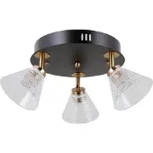 ITALUX Strahlerlampe LED 12W ORELLA WL-34393-3R-BK-HBR
