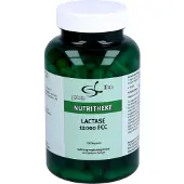 Matrix Lactase 12000 FCC, 120 St KAP