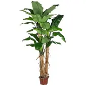 Creativ Green Künstliche Palme Bananenpflanze 280cm im Topf