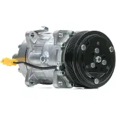 Delphi TSP0159337 Sanden SD7V16 Klimaanlage Klimakompressor PAG 46 passend für PEUGEOT 307 CC (3B) 307 (3A/C) 307 SW (3H) für CITROËN