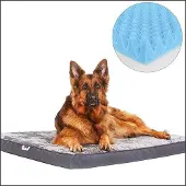 OEM Großes Hundebett mit Multi-Zone-Schaum, druckentlastend, wasser- und schmutzabweisend