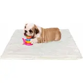 OEM Mittelgroßes Hundebett 76x54cm, Flauschige Hundematte, Waschbar, Antirutsch, Beige