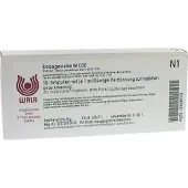 Wala Geneesmiddelen (eigen cnk) Bindegewebe GL D 30 Ampullen 10X1 ml