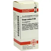 DHU Vespa Crabro D 30 Globuli 10 g