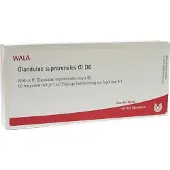 Wala Geneesmiddelen (eigen cnk) Glandulae Suprarenales GL D 6 Ampullen 10X1 ml