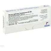 Weleda Prunus Spinosa Summitates Rh D 3 Ampullen 8x1 ml