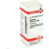 DHU Argentum Nitricum C 100 Globuli 10 g