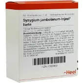 Heel Syzygium Jambolanum Injeel forte Ampulle 10 St