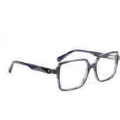 Ana Hickmann Brillenfassung HI6302 E02 53