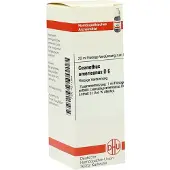 DHU-Arzneimittel GmbH & Co. KG Ceanothus Americanus D6 Dilution