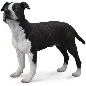 Collecta Spielfigur American Staffordshire Hund Kunststoff