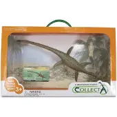 Collecta Geschenkset - Vorgeschichte