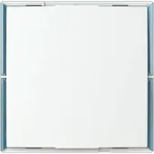 Busch-Jaeger Keypad Bedienelement 1..4 Steuerfunktionen Busch-balance SI, 1 Stk.
