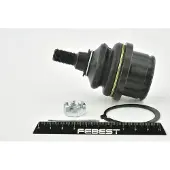 FEBEST Traggelenk Hinten für TOYOTA CALDINA (ZZT24, ST24, AZT24) 0120-107