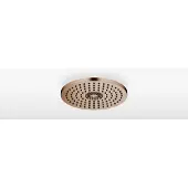 Dornbracht 28031970-42 RB SERIENSPEZIFISCH 28031970 300 mm