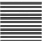 vidaXL Doppelrollo Schwarz 165x100 cm Stoffbreite 160,9 cm Polyester