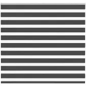 vidaXL Doppelrollo Schwarz 160x100 cm Stoffbreite 155,9 cm Polyester