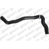 GOOM Kühlerschlauch Wasserschlauch für RENAULT LAGUNA III (BT0/1) RH-1250