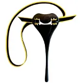 Finis Haltungstrainer