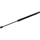 Blue Print Gasfeder, Koffer-/Laderaum ADBP580008