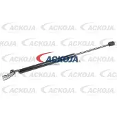 ACKOJA Gasfeder, Koffer-/Laderaum Original Qualität A52-0093
