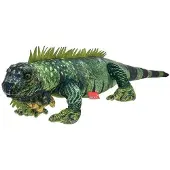 Beppe Leguan 61cm