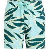 Firefly Herren Badeshorts He.-Badeshorts Lucio M Painted Flowers