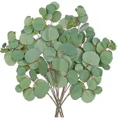 OEM Kunst-Eukalyptus-Takken 77cm grün Dekoration