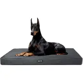 OEM Orthopädisches Hundebett 10cm dick grau 120cm