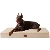 OEM Orthopädisches Hundebett XXL 120x74x9cm, Waschbares Kissen, Khaki