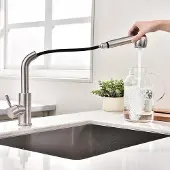 OEM Wassertap mit ausziehbarem Sprühkopf - Modernes Design - Matt Schwarz