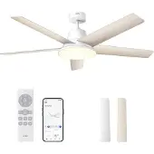 Dreo Ventilatore da Soffitto Intelligente con Luci