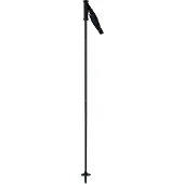 Rossignol Electra Premium Frau Pole