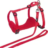 Nobby Hundeleine und -geschirr