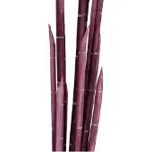 Europalms Magic Zwiebelrohr, künstlich, rosa, 134cm