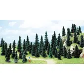 Busch Ho 50 Trees