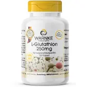 WARNKE L-glutathion 250 mg Kapseln 100 St