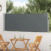 Syfax Ausziehbares Seitenmarkise Anthrazit 300 x 100 cm Polyester