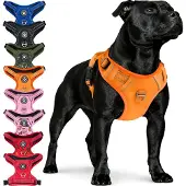 Reichstadt Hundegeschirr 25RSP083 Orange M