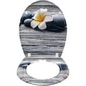 Woltu WC-Sitz aus Duroplast mit Absenkautomatik in Deco Design WS2842
