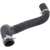 THERMOTEC Gummischlauch, Kühlsystem DW0527TT