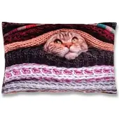 Bestlivings Kissenhülle Fotodruck Katze 40 x 60 cm mit Füllung