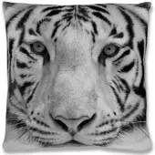 Bestlivings Kissenhülle Fotodruck 40 x 40 cm Tiger Grey mit Füllung