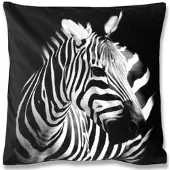 Bestlivings Kissenhülle 2er Pack Fotodruck 40 x 40 cm Zebra