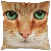 Bestlivings Kissenhülle 2er Pack Fotodruck 40 x 40 cm Katze Beige