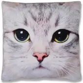 Bestlivings Kissenhülle 2er Pack Fotodruck 40 x 40 cm Katze