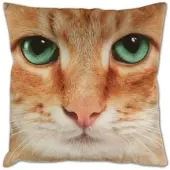 Bestlivings Kissenhülle Fotodruck 40x40 Katze beige mit Füllung